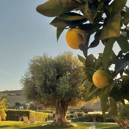 Resort Borgo Giallonardo Wine Relais